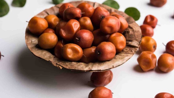 Transforming Ber Food into Golden Opportunities in Madhya Pradesh