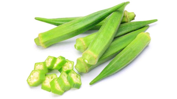 Processing Okra in Madhya Pradesh