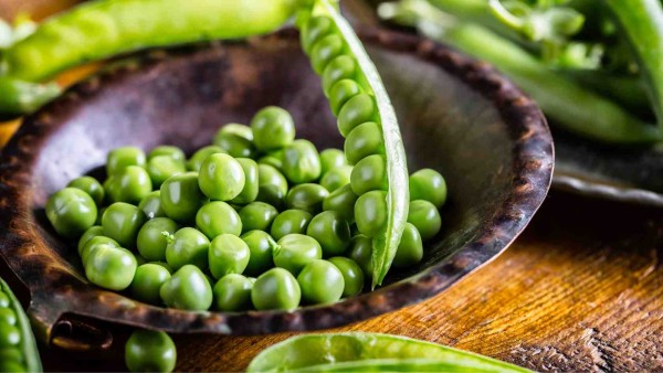 Frozen Green Peas Processing Unit 
