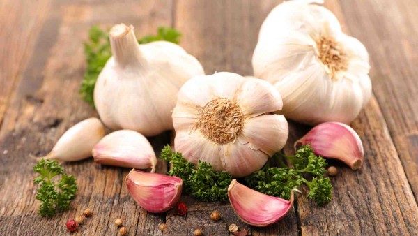 Processing Garlic in Madhya Pradesh