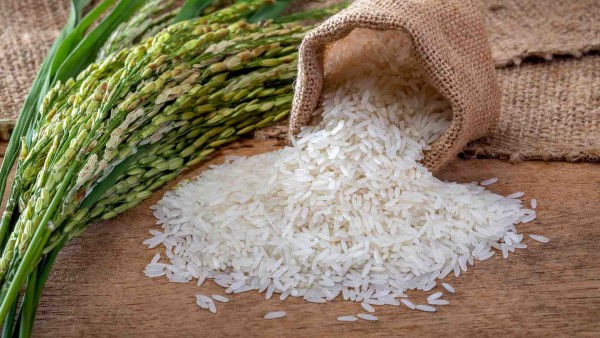 Processing Rice in the Golden Heart of India