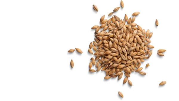 Processing Barley in the Heart of India