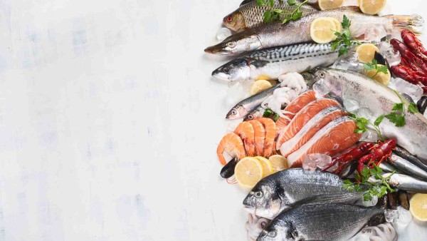 Processing Fish & Seafood in Madhya Pradesh