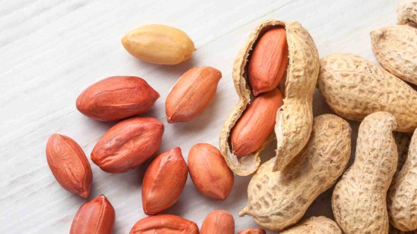 Processing Peanuts in Madhya Pradesh