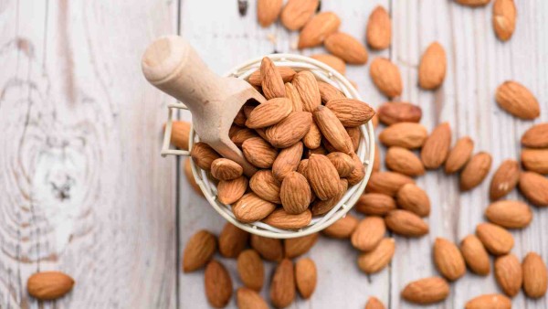 Processing Almonds in Madhya Pradesh