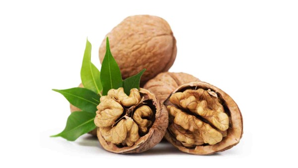 Processing Walnuts in Madhya Pradesh