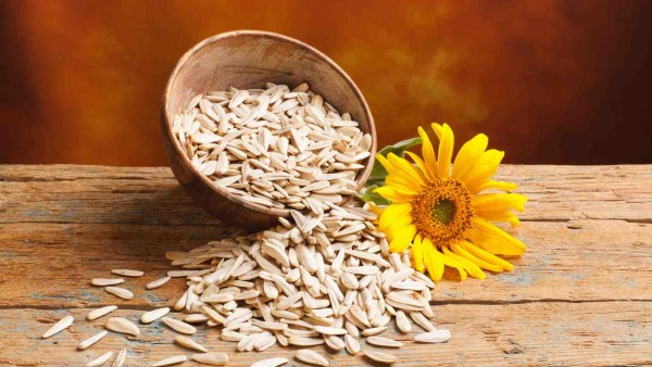 Processing Sunflower Seeds in Madhya Pradesh