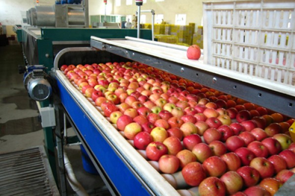 Apple Processing Plant in Madhya Pradesh