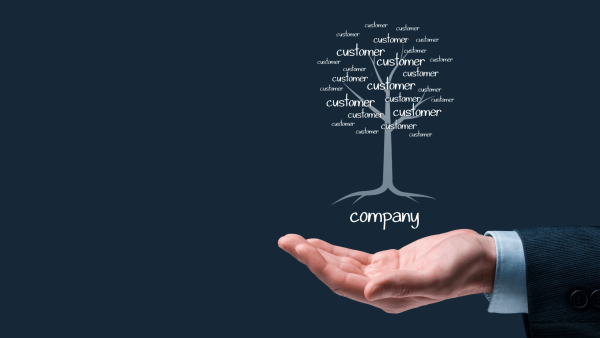 Developing a successful IT company strategy in Bhopal requires careful consideration of the city's unique strengths and challenges. Here are some key elements to focus on: